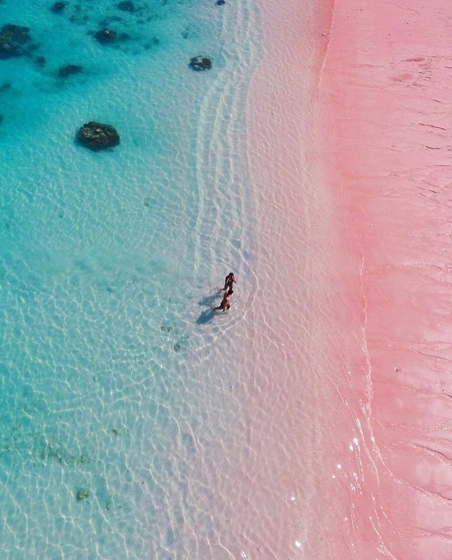 Остров Флорес розовый пляж