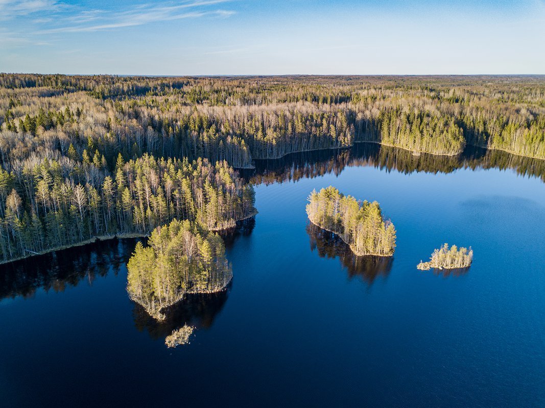 2 самых больших озера в россии. Пряжинское озеро Карелия. Озеро Паанаярви. Висячие озёра Карелия. Озеро великое Карелия.