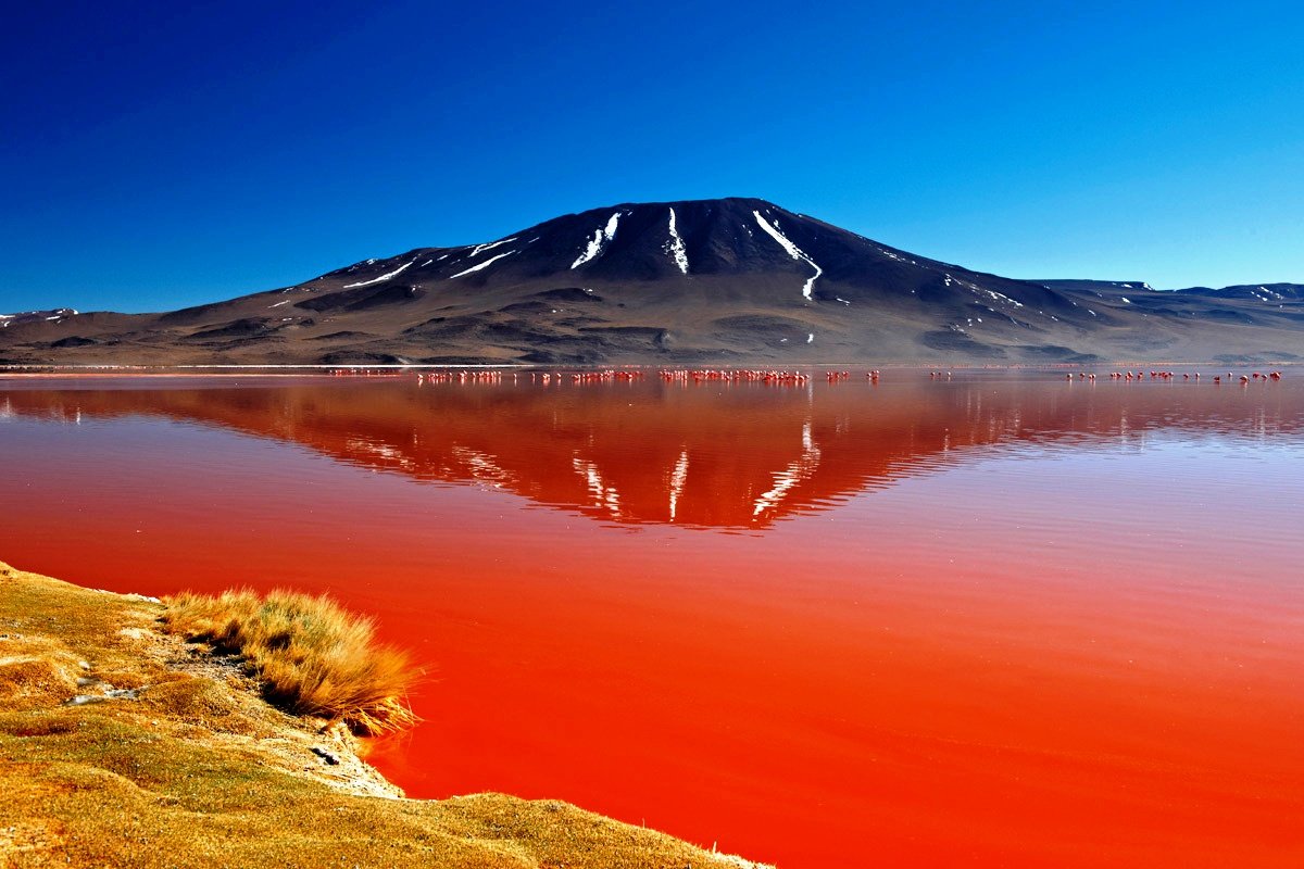 Красное озеро в Танзании