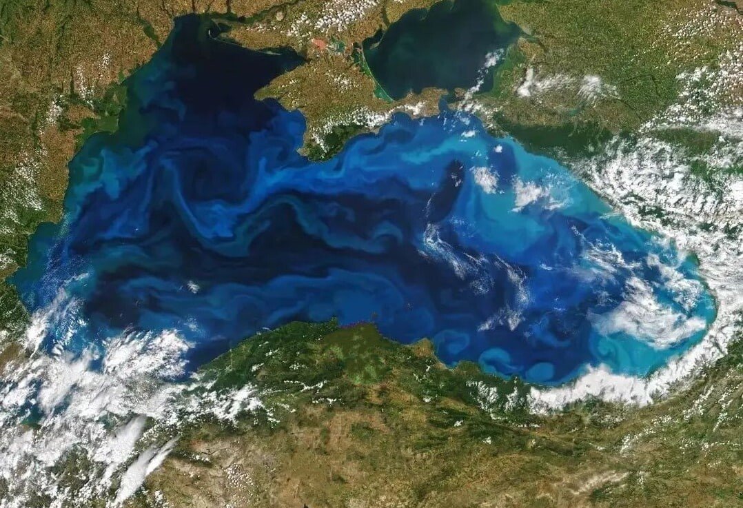 Фитопланктон в море. Черное море вид из космоса. Фитопланктон черного моря. Море черного цвета. Черное море снимок из космоса.