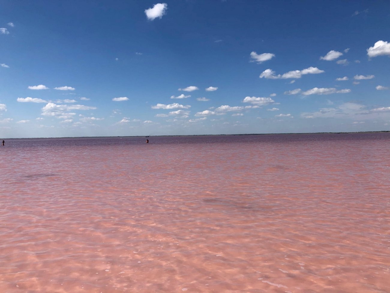 Розовое озеро яровое. Яровое соленое озеро. Озеро Бурсоль Яровое. Соленое озеро на Алтае Яровое. Бурлинское озеро Алтайский край.