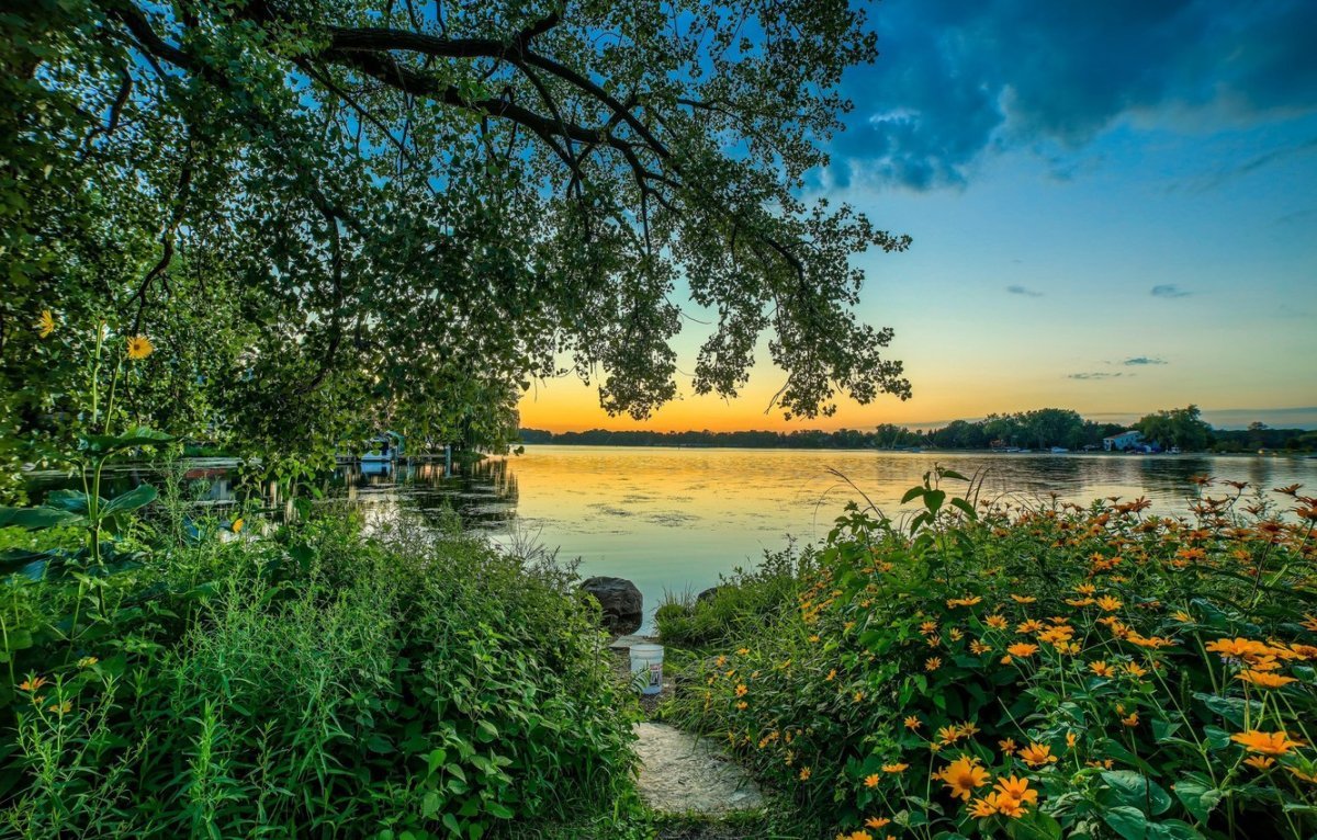 Озеро Дивное Калининград. Летние пейзажи природы. Природа летом. Лето озеро. Летнее утро на озере