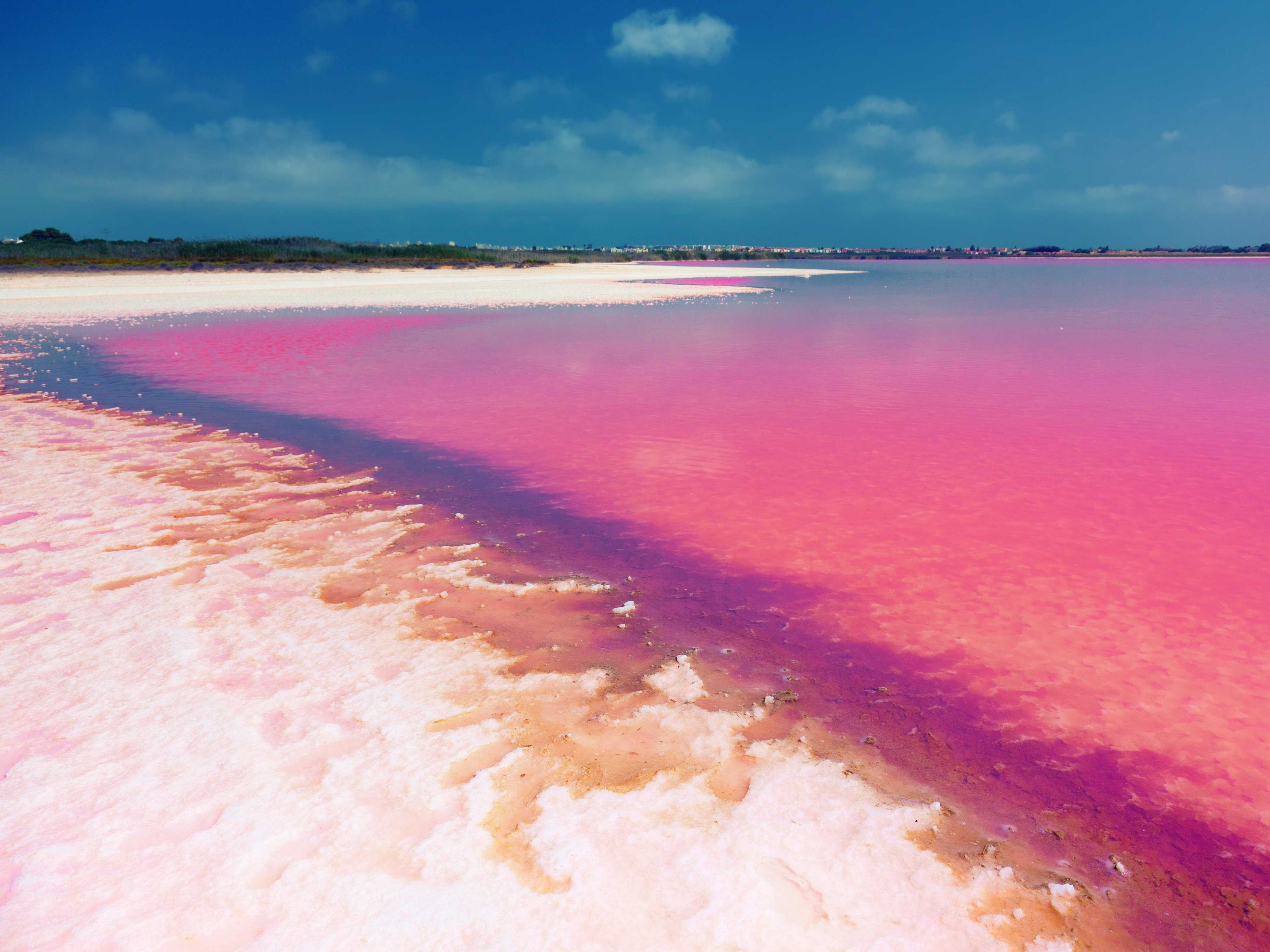 Видео про розовые. Озеро Ретба Сенегал. Розовое озеро Хиллер Австралия. Розовое озеро Ретба. Лагуна Салинас де Торревьеха.