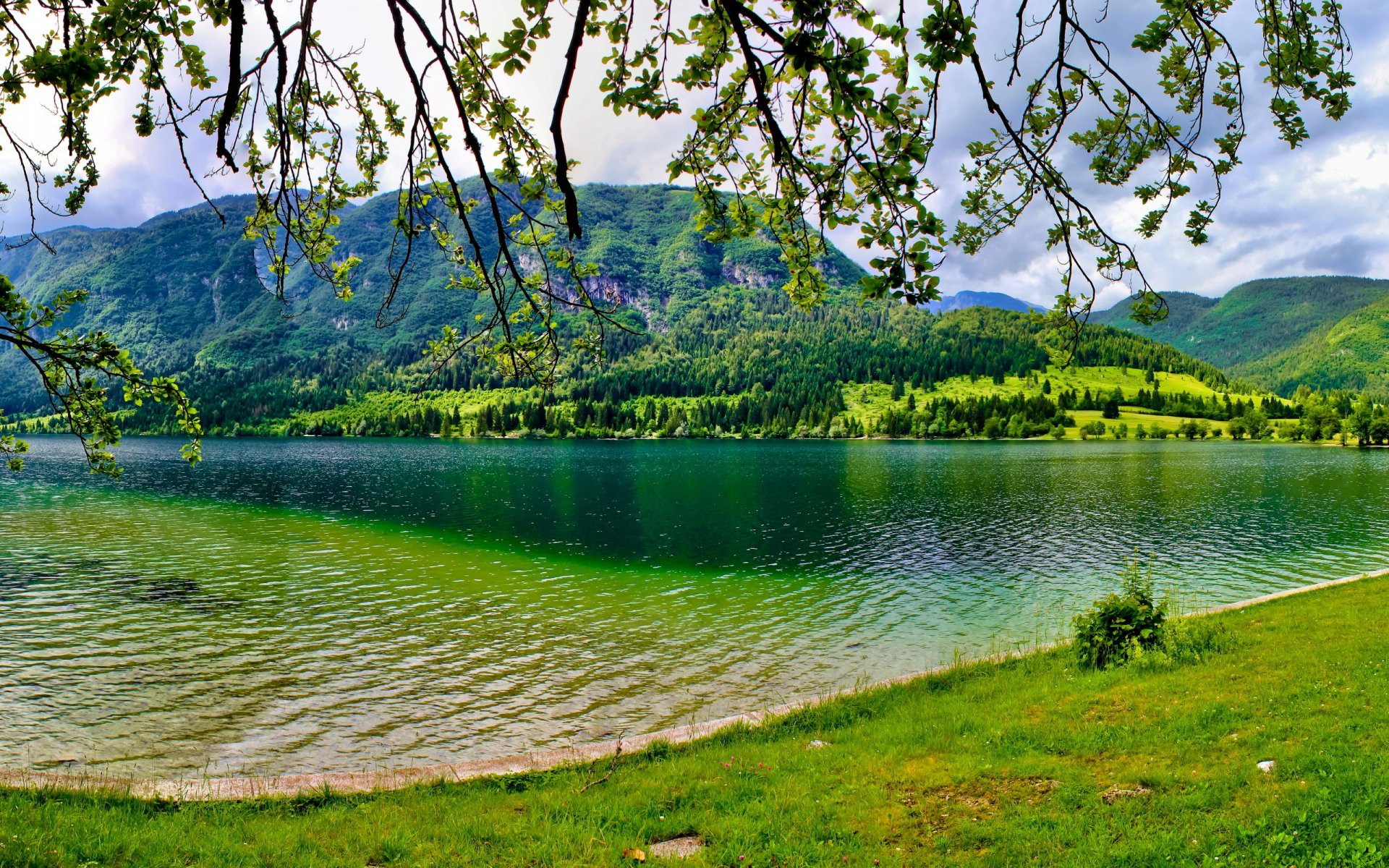 Красивые виды озера. Нижнемогабинское водохранилище Ялта. Абхазия Пицунда голубое озеро. Батуми Черепашье озеро. Озеро Кварели.