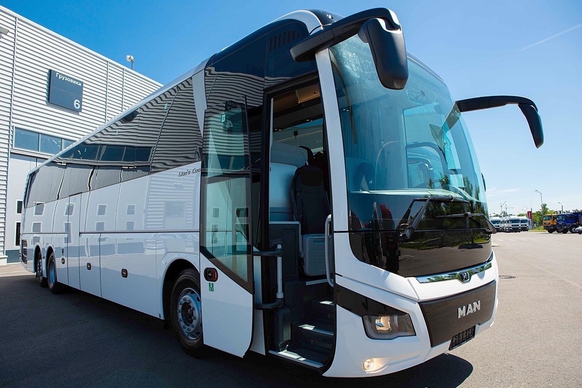 Ман Lion s coach 2019