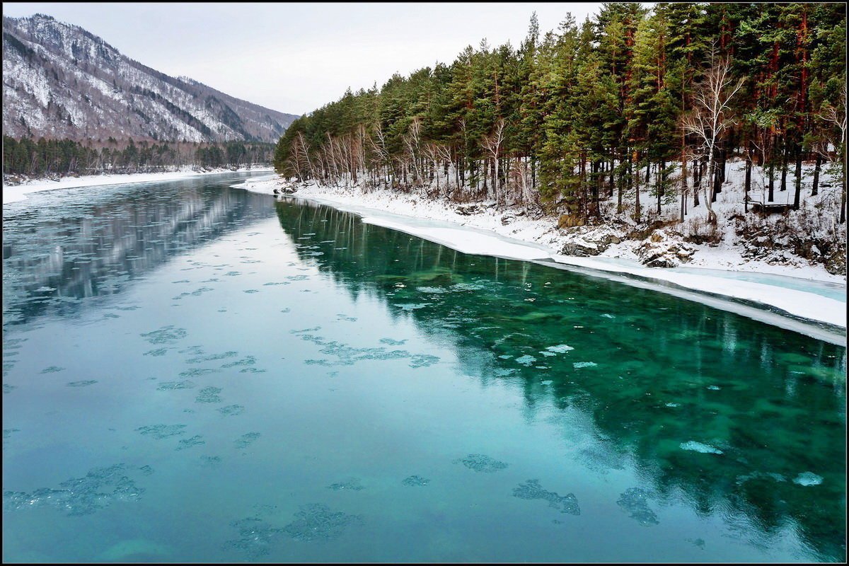 Телецкое озеро горный Алтай рыбалка
