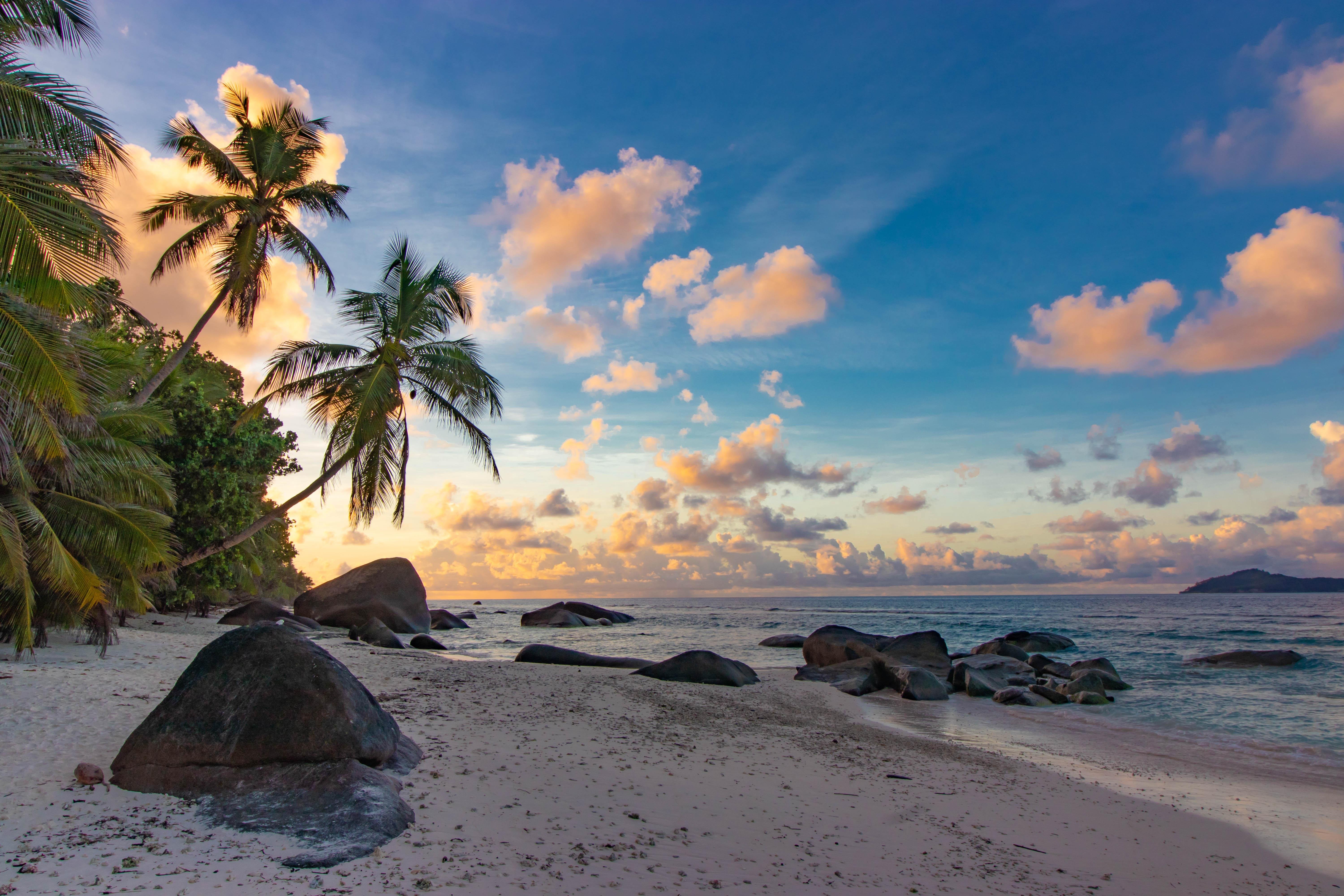 Красивый берег океана. Парадиз остров Карибского моря. Природа море. Природа море пальмы. Море пляж пальмы.