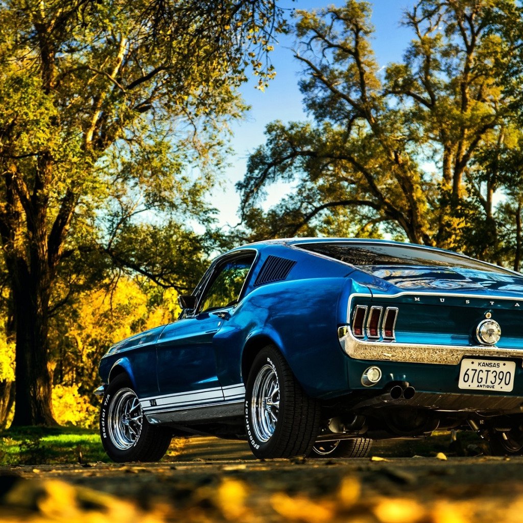Mustang gt 390 Fastback