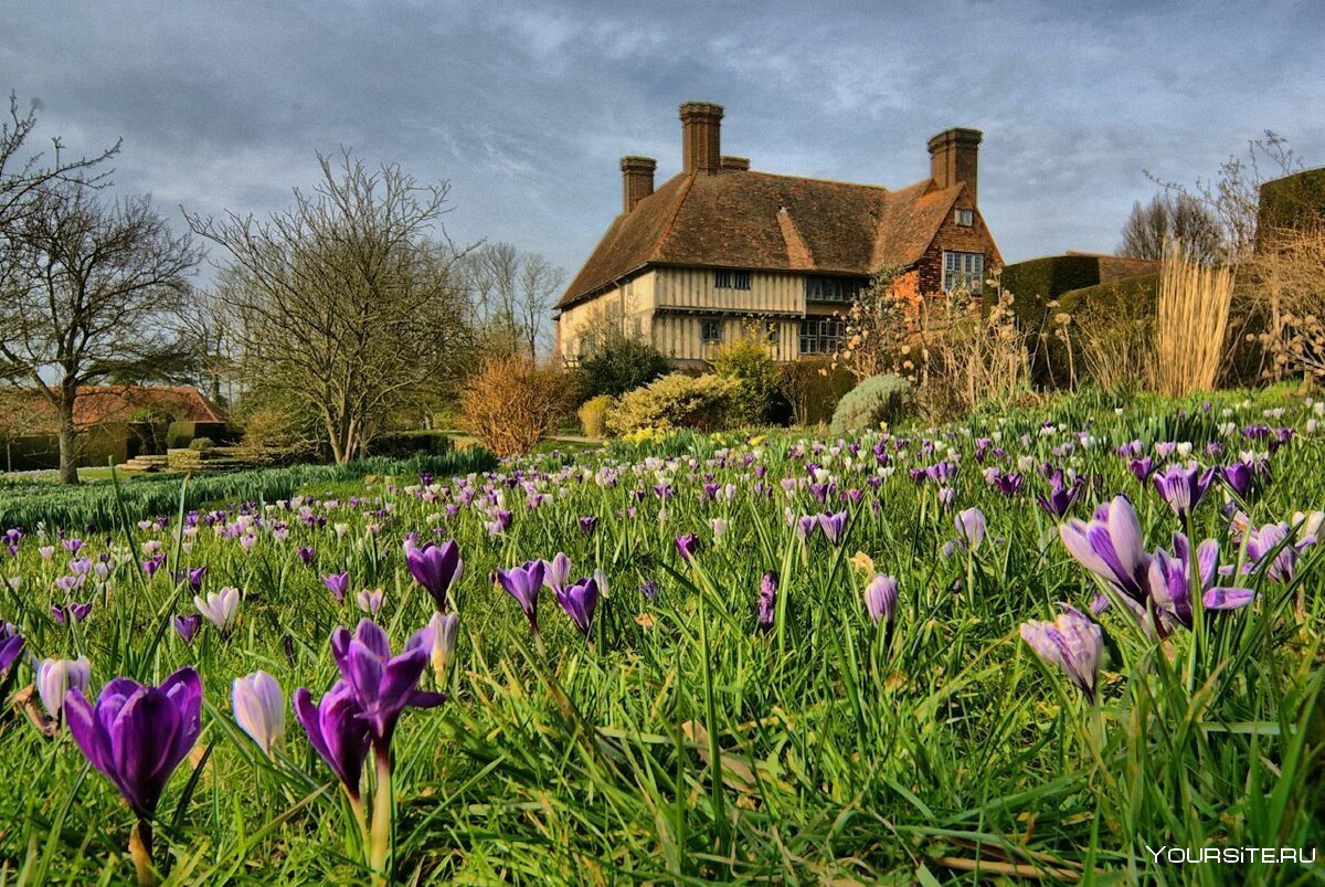 Природа Весна Англия деревня