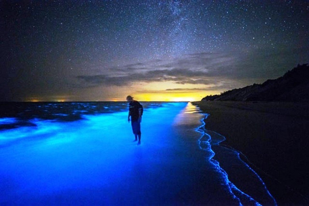 Puerto Rico has the Brightest bioluminescent Bay in the World