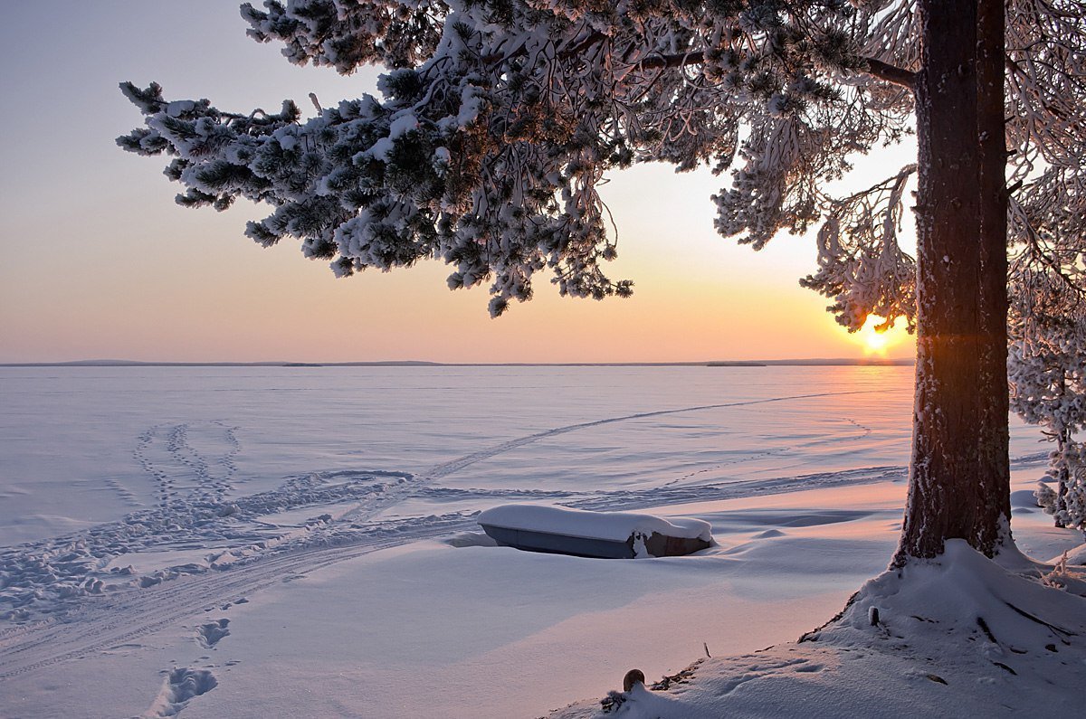 Зима на берегу озера. Карелия Ладога зимой. Озеро в Карелии зимой. Озеро Карелия зима. Карелия Ладожское озеро зима.