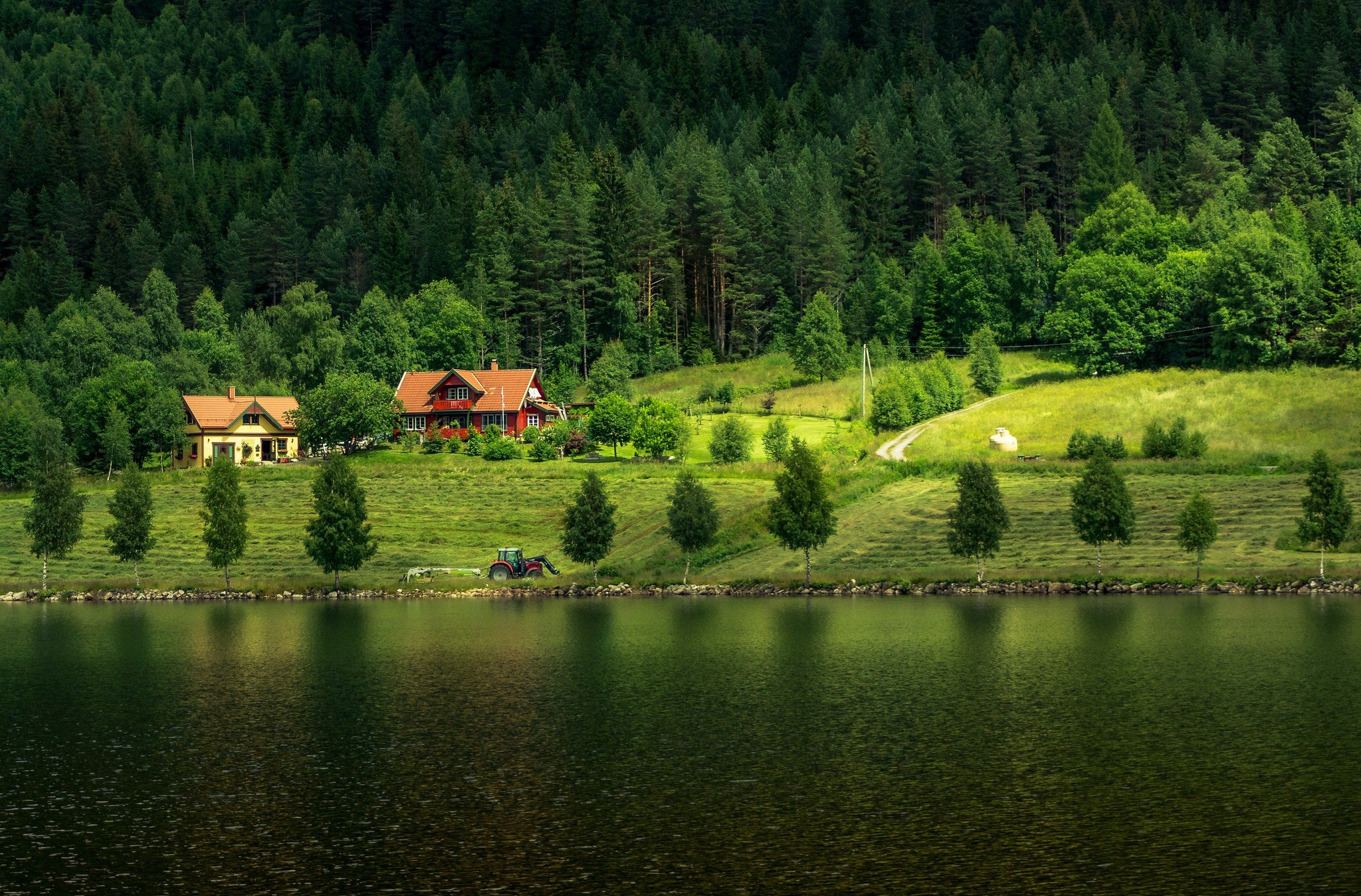 Озеро возле леса. Фахверк Швейцария горы озеро лес. Фахверк Швейцария горы озеро лес лето. Шварцвальд озеро. Дом в Норвегии в лесу у озера.