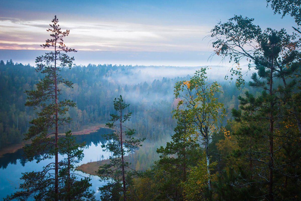 Национальный парк Финляндии Repovesi