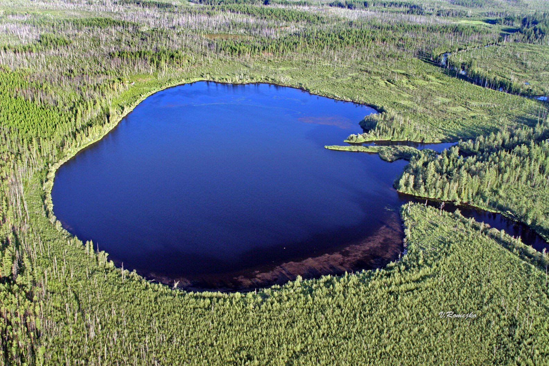 Озеро является источником. Тунгусский метеорит озеро Чеко. Тростенское озеро. Озеро бездонное Солнечногорский район. Озеро Чеко Тунгуска.