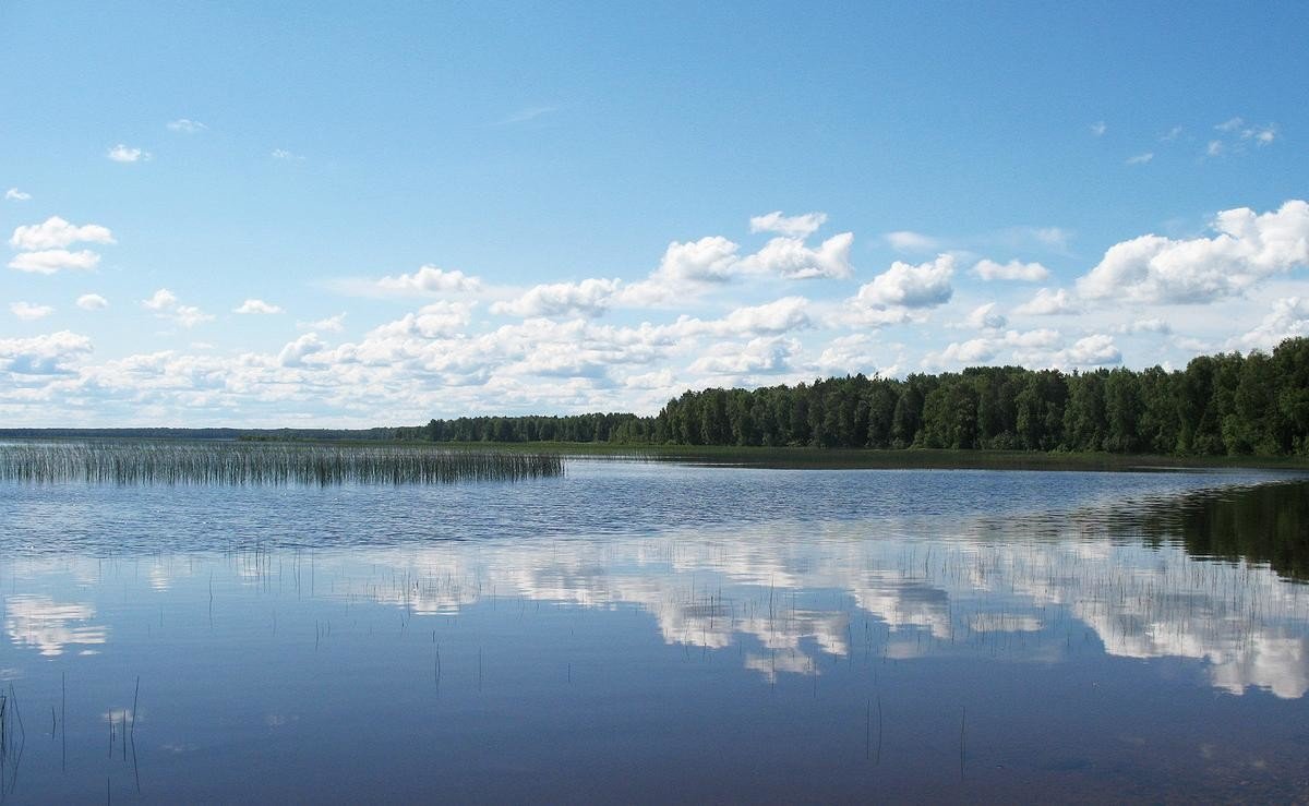 Шултус озеро Няндомского района