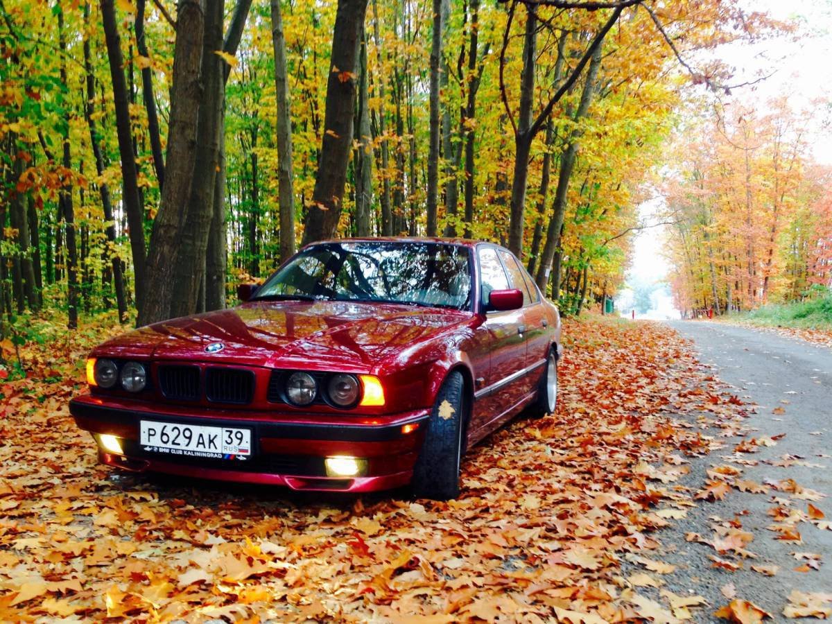 BMW e34 Вишневая