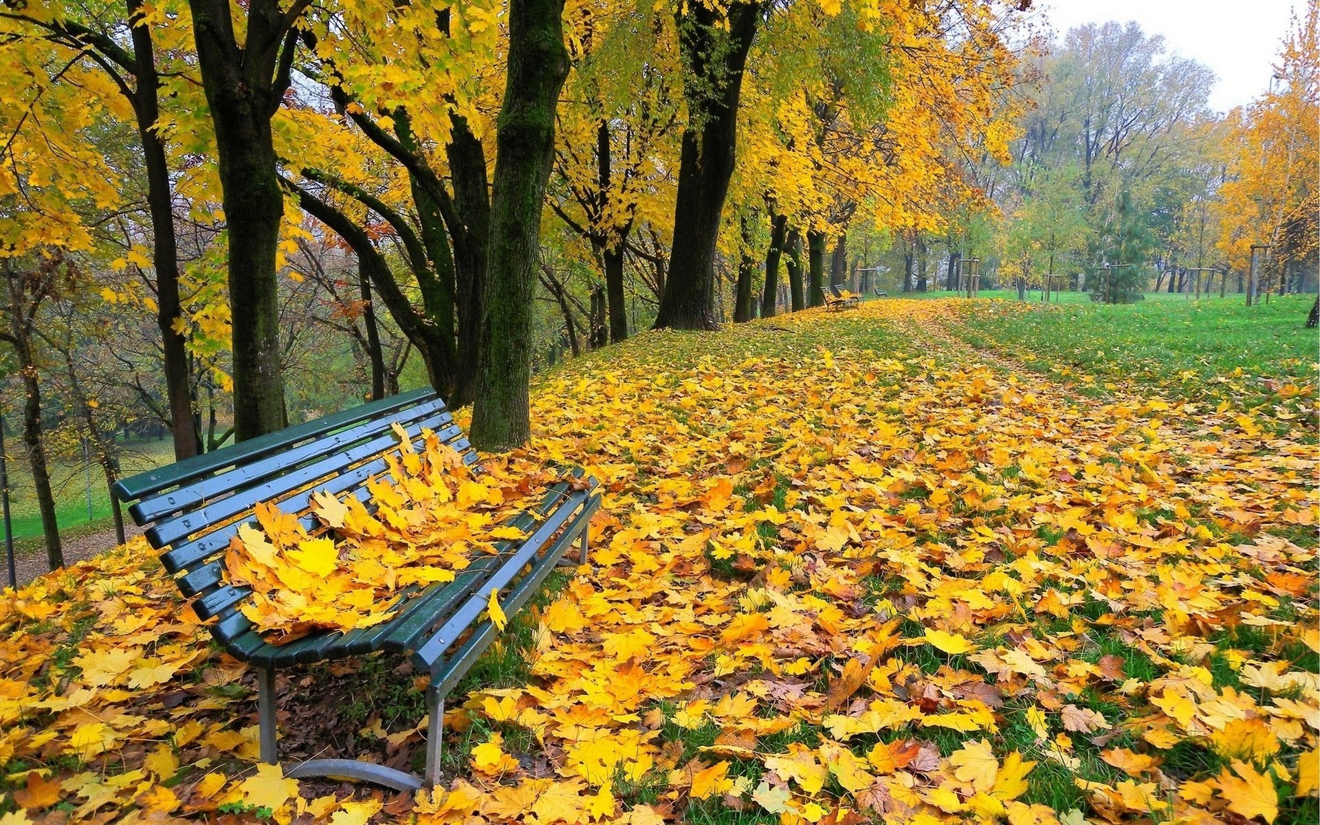 Осень в парке. Осенний листопад. Осень листопад. Золотая осень в парке.