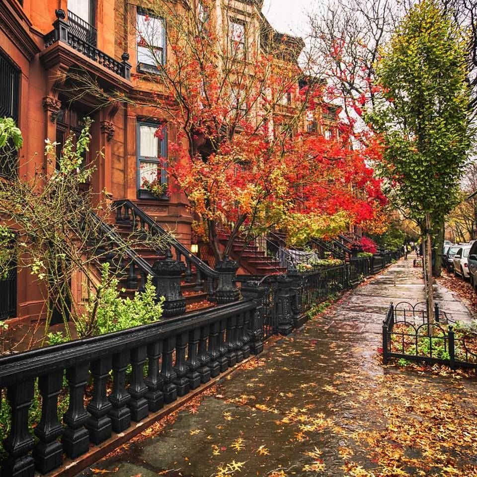 Осень Бруклин Нью Йорк