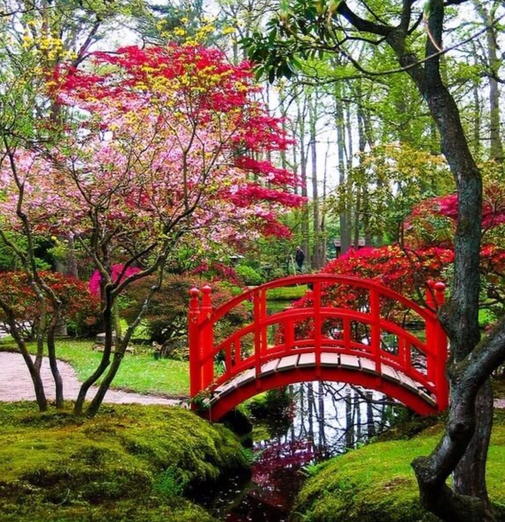 Воронцовский парк японский сад