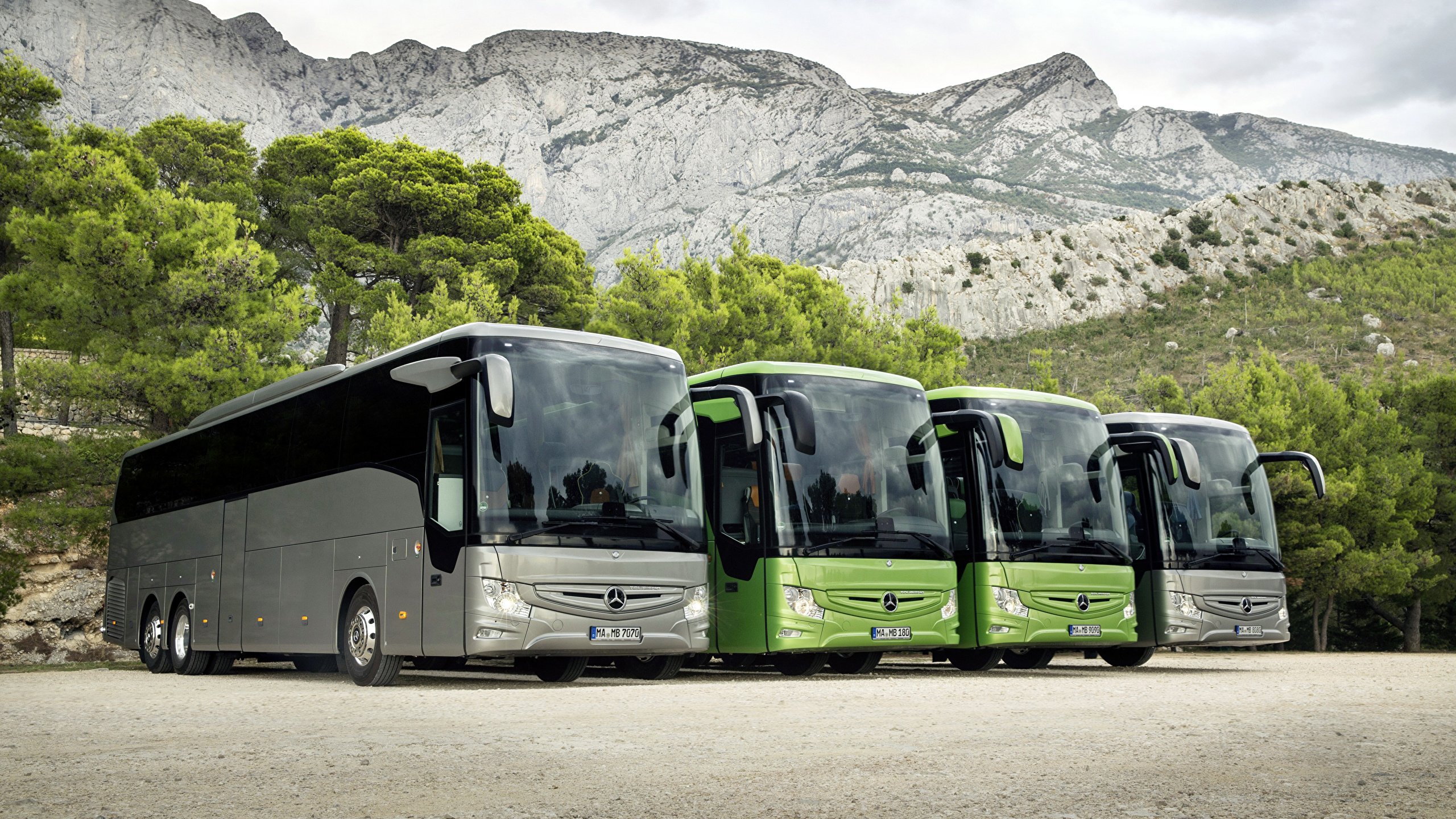 Пассажирские перевозки г. Mercedes-Benz Tourismo. Автобус Mercedes-Benz Tourismo. Mercedes Tourismo 2022. Mercedes-Benz Tourismo-RHD-L.