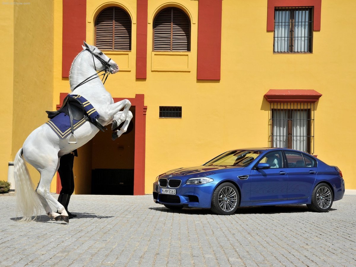 Лошадиные силы BMW m5 f10