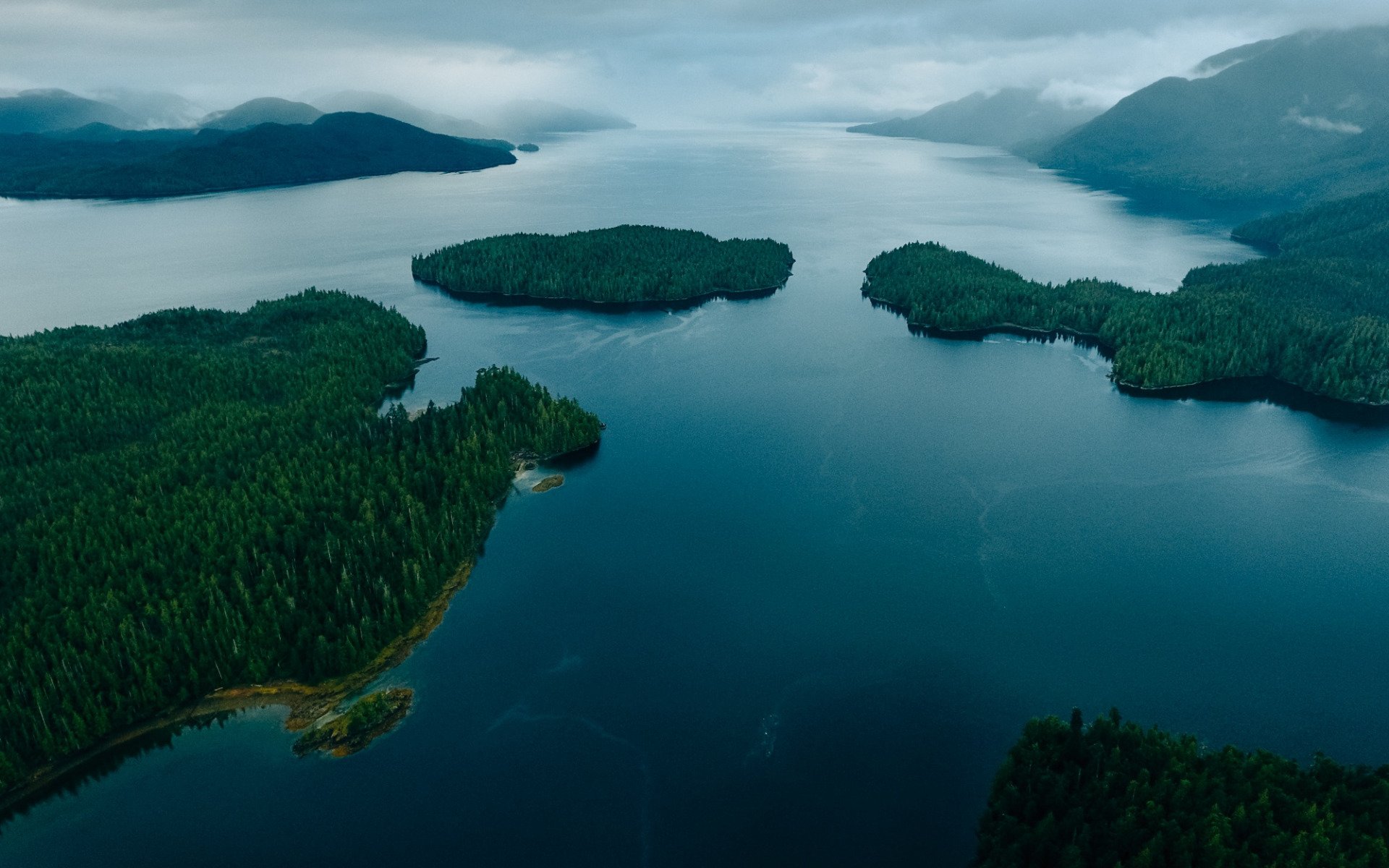 Озера системы великих озер верхнее. Great Bear Rainforest Канада. Озеро Гурон Канада. Озера Эри и Онтарио. Озеро Эри Северная Америка.