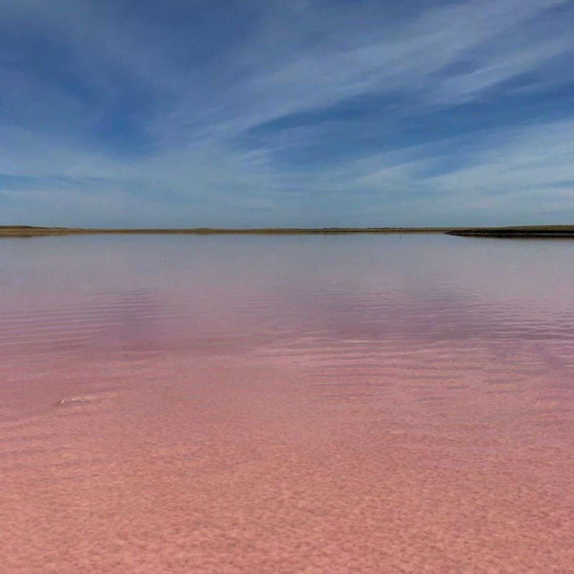 Розовое озеро Эльтон. Озеро Ретба Сенегал. Розовое соленое озеро на Алтае. Ретба — розовое озеро в Сенегале.. Розовое озеро на алтае