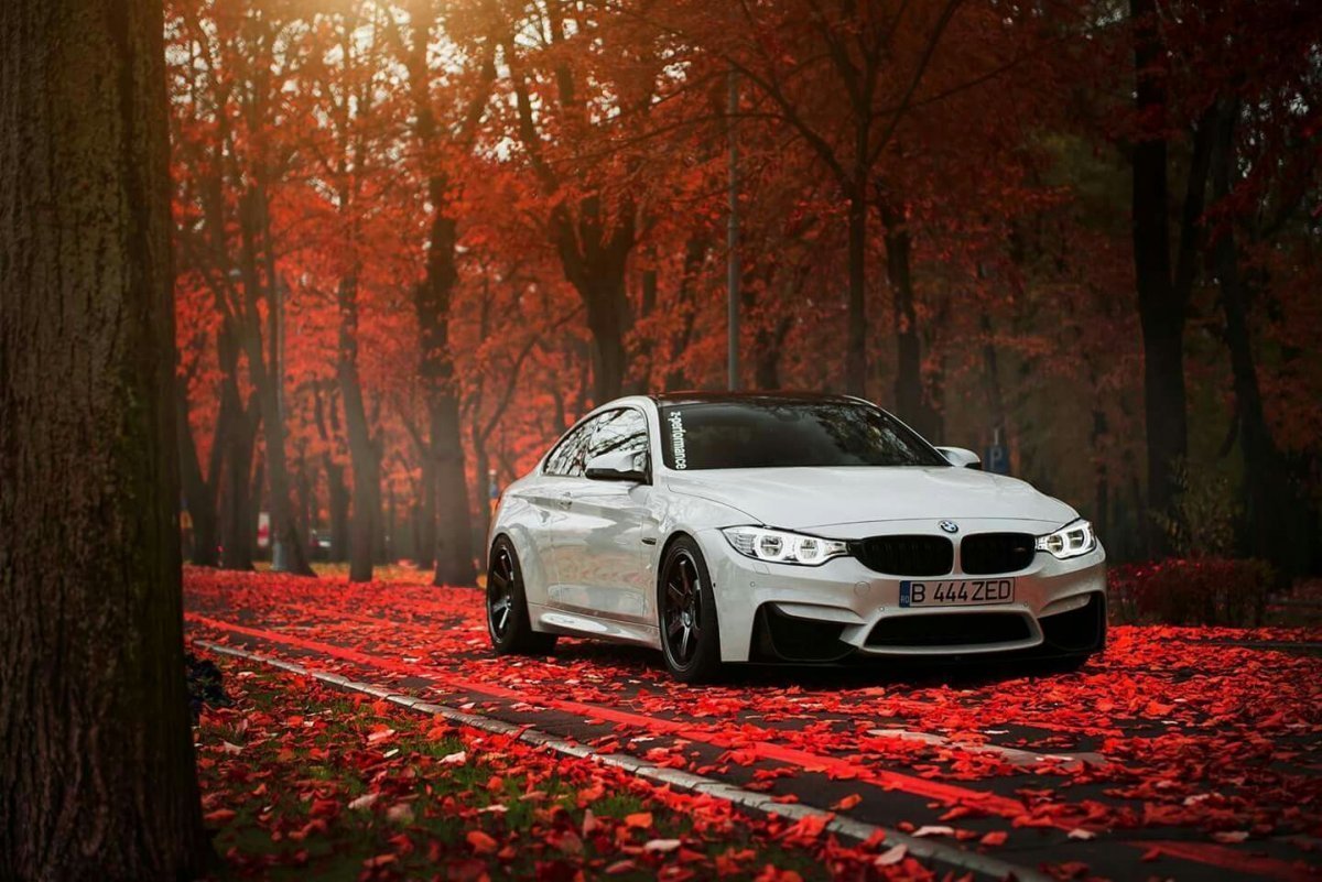 Красивые машины BMW