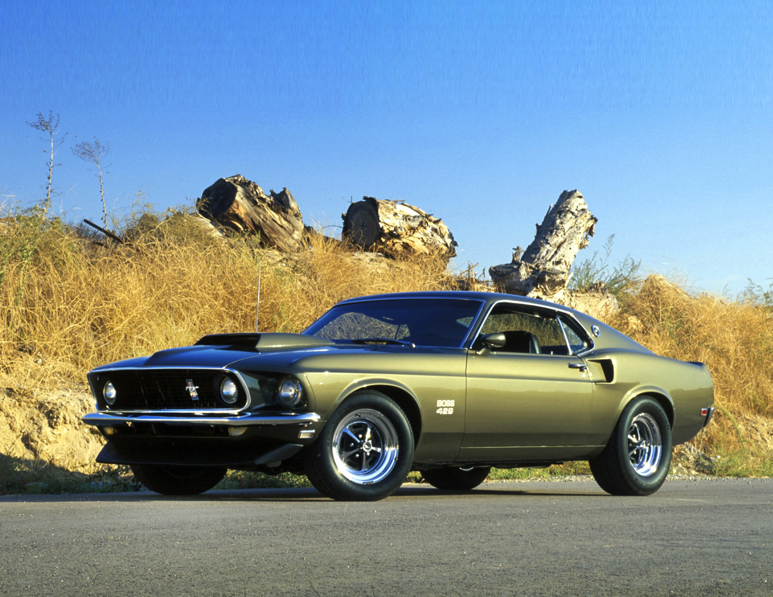 Американский мустанг. Форд Мустанг 1969. Ford Mustang Boss 429 1969. Форд Мустанг босс 429. Маслкар Форд Мустанг 1969.