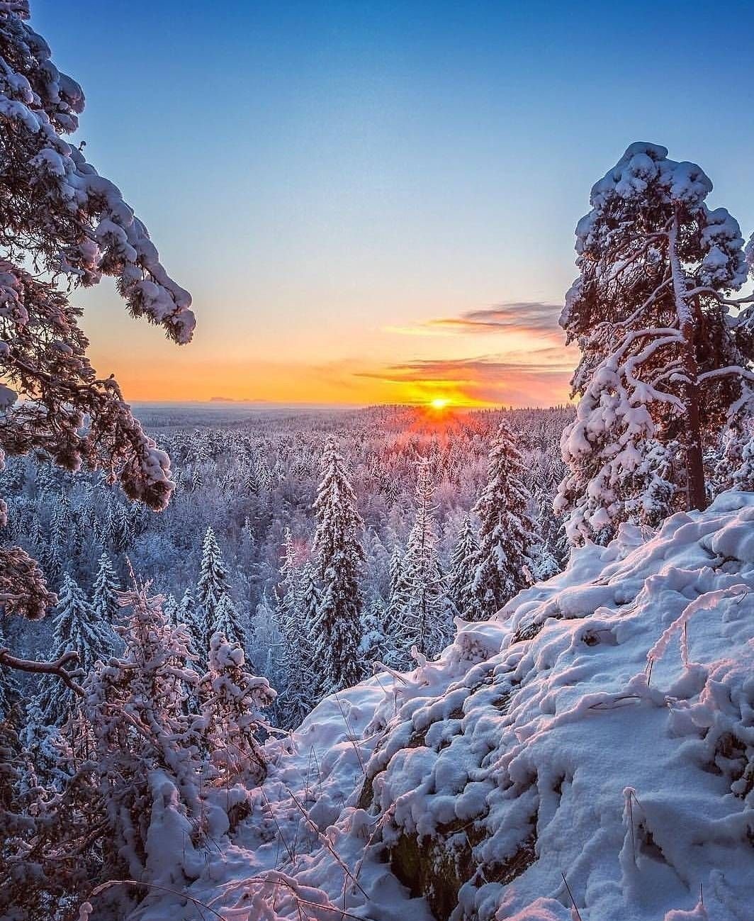 Природа зима красота. Зимняя красота. Зимняя природа. Красота природы зимой. Зимний лес.