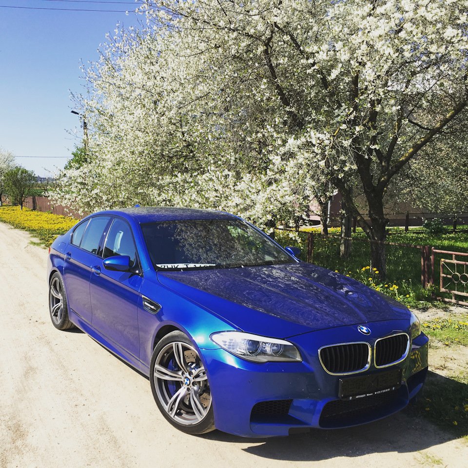 BMW m5 цвета