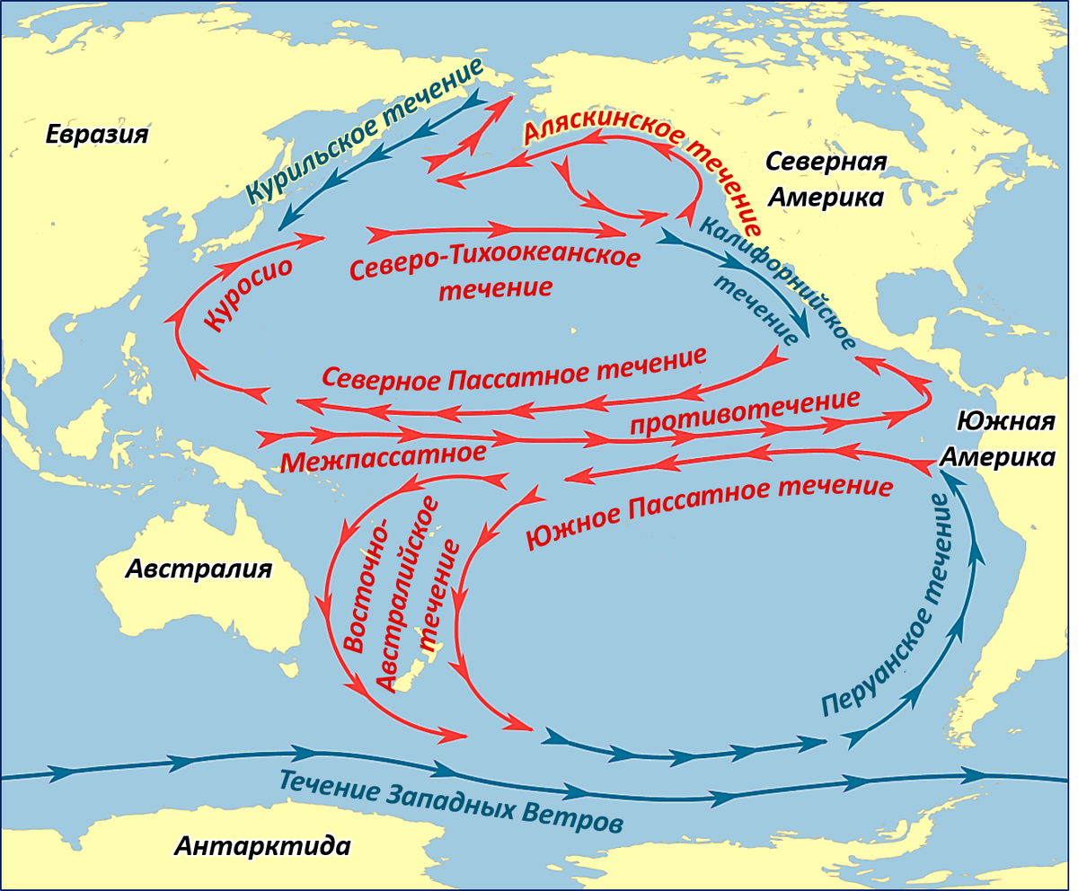 Каково направление течения. Тёплые течения Тихого океана Куросио. Карта течений Тихого океана. Северное пассатное течение на карте Тихого океана. Течение Куросио, перуанское течение.