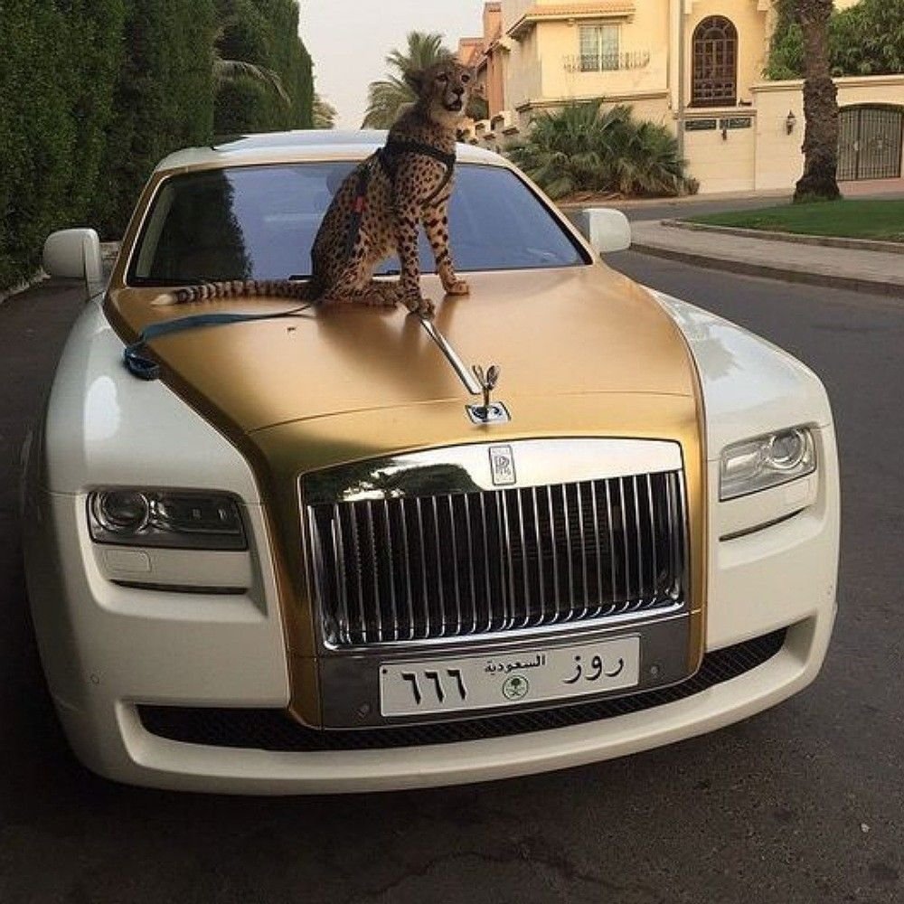 Rolls Royce Гусейна Гасанова