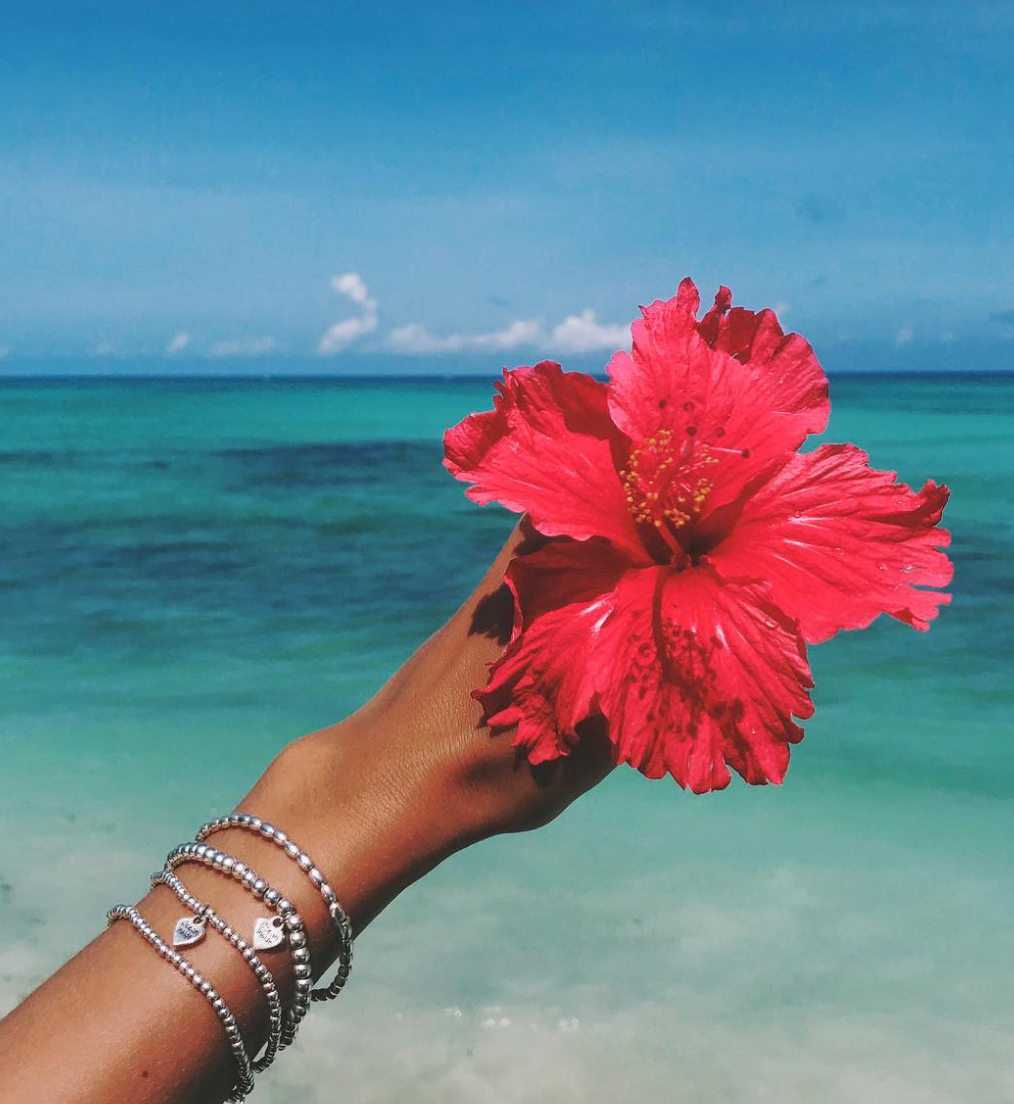Яркие цветы на море. Цветы на фоне моря. Рука с цветком и море. Цветок на руку.. Букет цветов на фоне моря.