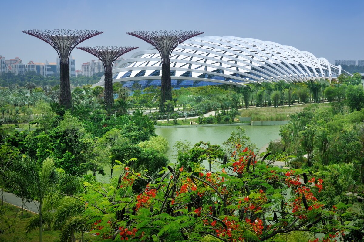 Сингапур парк сады у залива