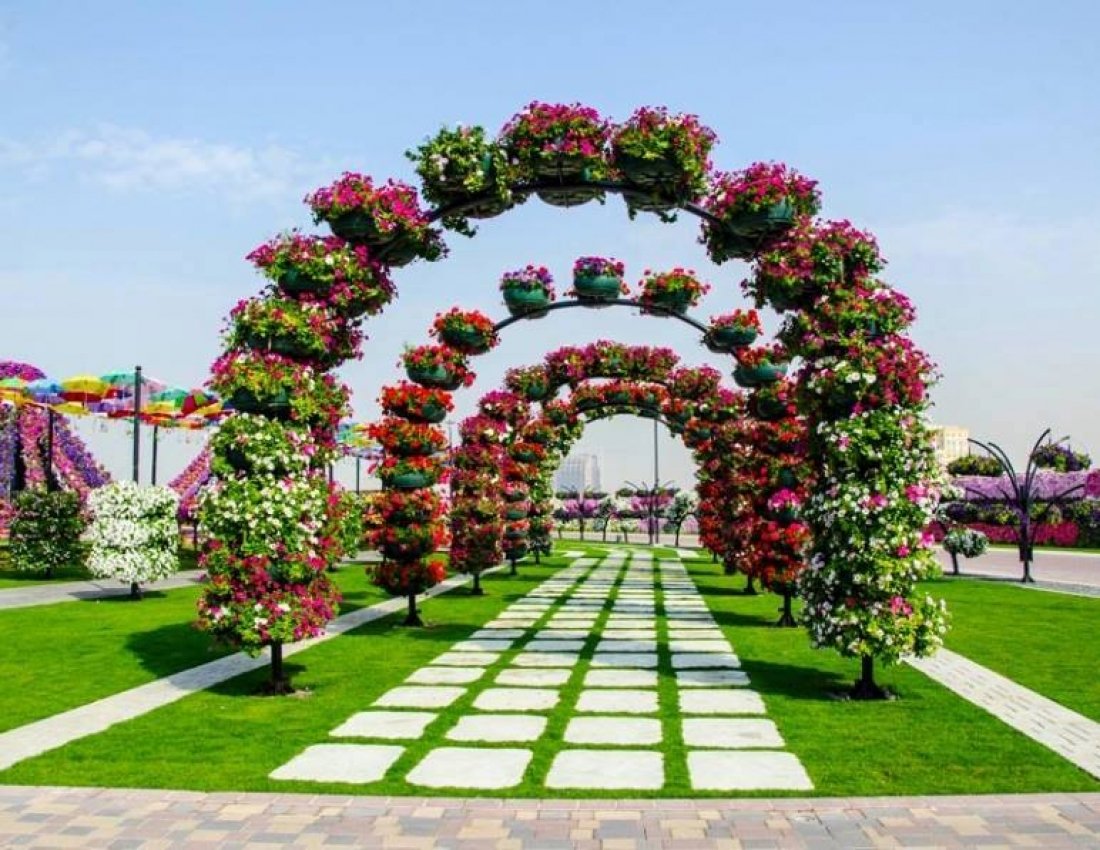 Дубай Миракл Гарден Dubai Miracle Garden