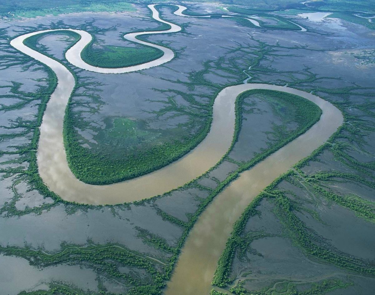 Меандрирующее русло реки