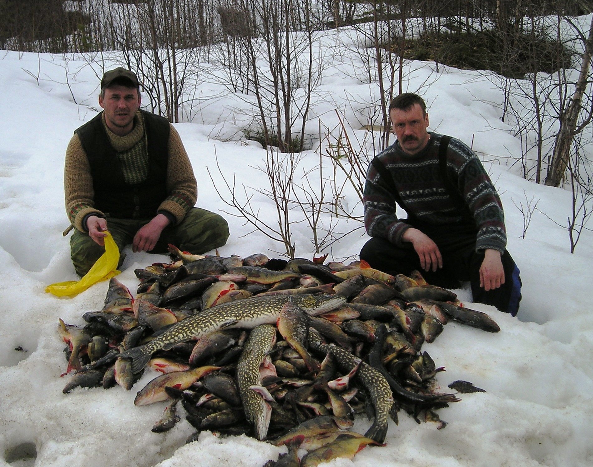 Река Ворыква. Ворыква река Коми. Зимняя рыбалка. Рыбы зимой. Отчеты о рыбалке на озерах