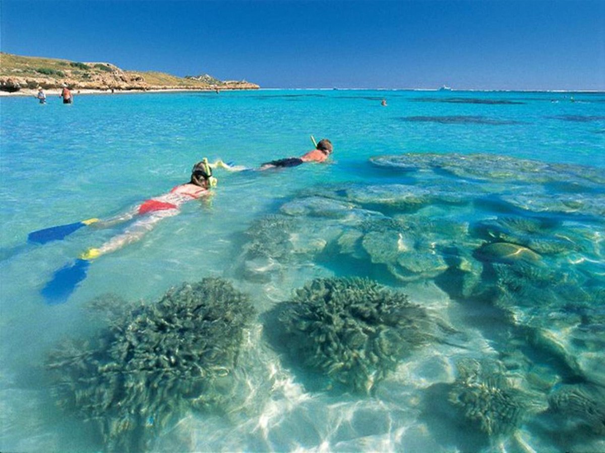 Кипр коралловые рифы
