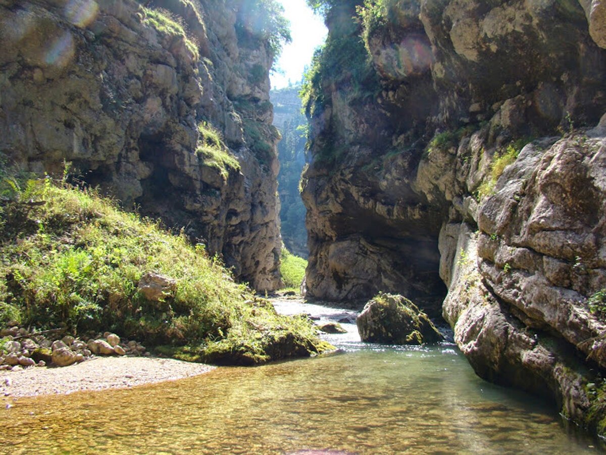 Река цица Адыгея