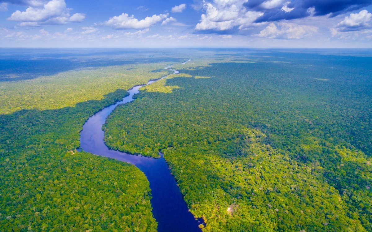 Амазонка в Бразилии протекает река