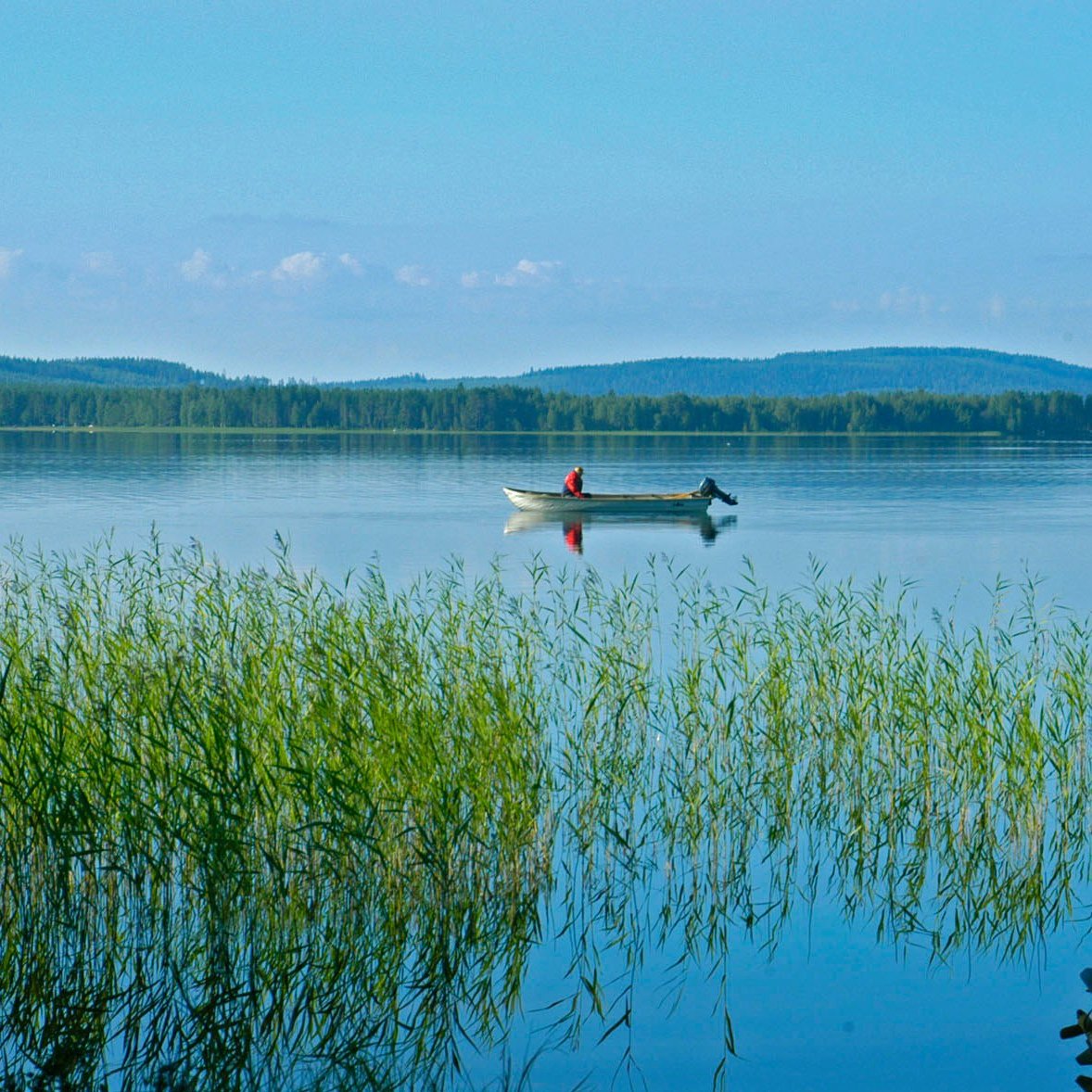 Рыбы водоемов Свердловской области