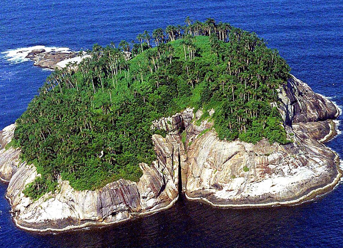 Острова змеиный где. Кеймада-Гранди остров. Остров Кеймада-Гранди Бразилия. Остров змей Кеймада-Гранди. Самый опасный остров в мире Кеймада-Гранди.