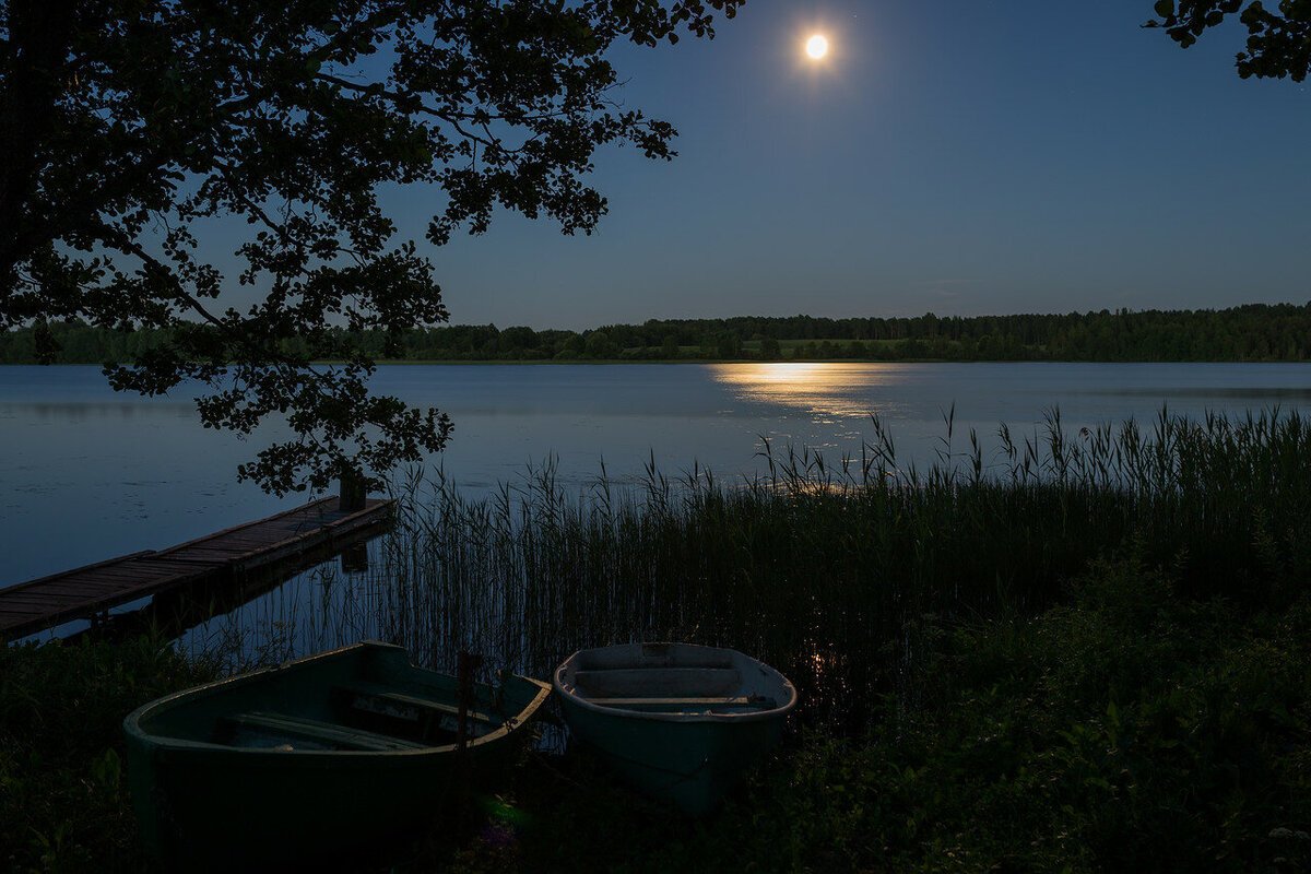 Ночь на берегу озера. Озеро Кафтино. Ночное озеро. Река ночью. Лето озеро ночь.