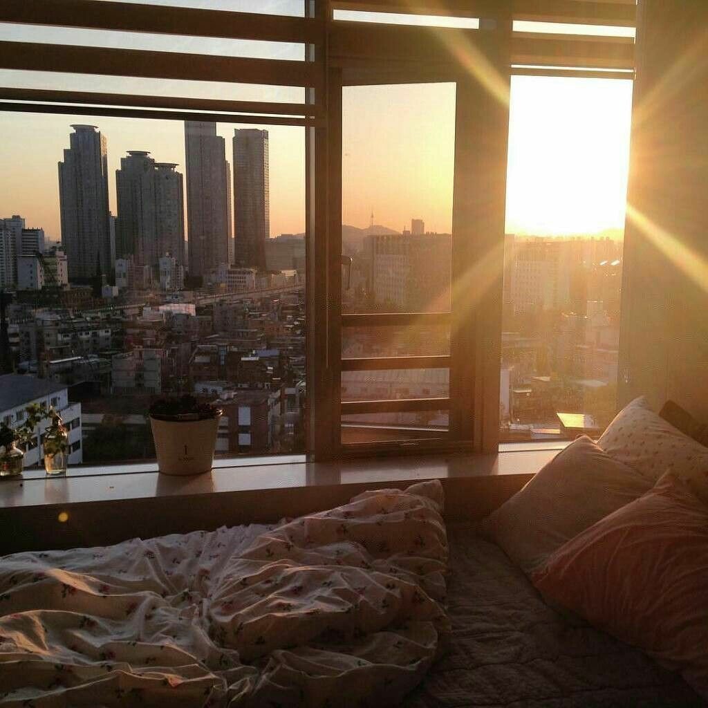 Утро видишь из окна. Красивый вид из окна квартиры. Окно с красивым видом. Окно с видом на город. Красивый вид из окна на город.