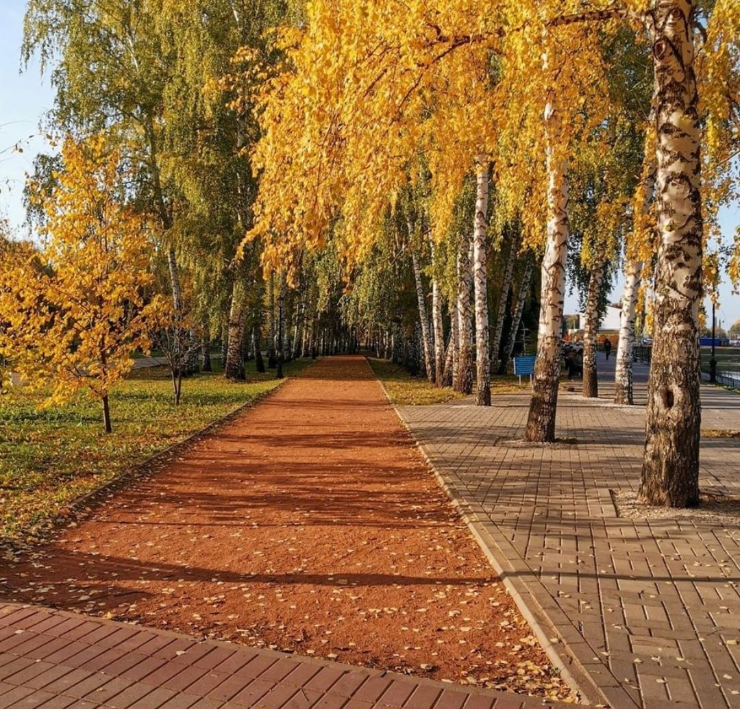 Осень парк Шумерля