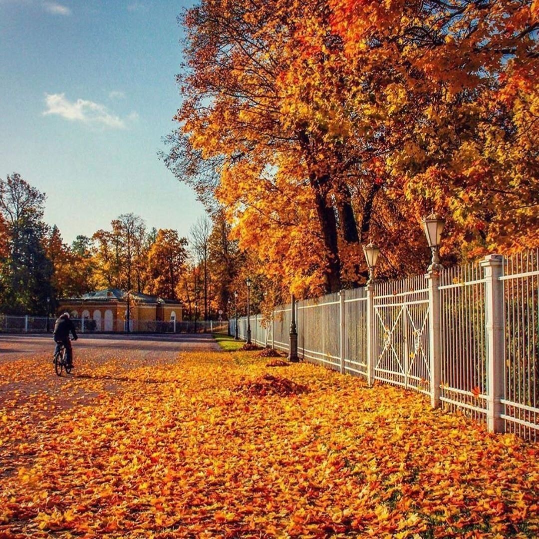Осень октябрь Белгород