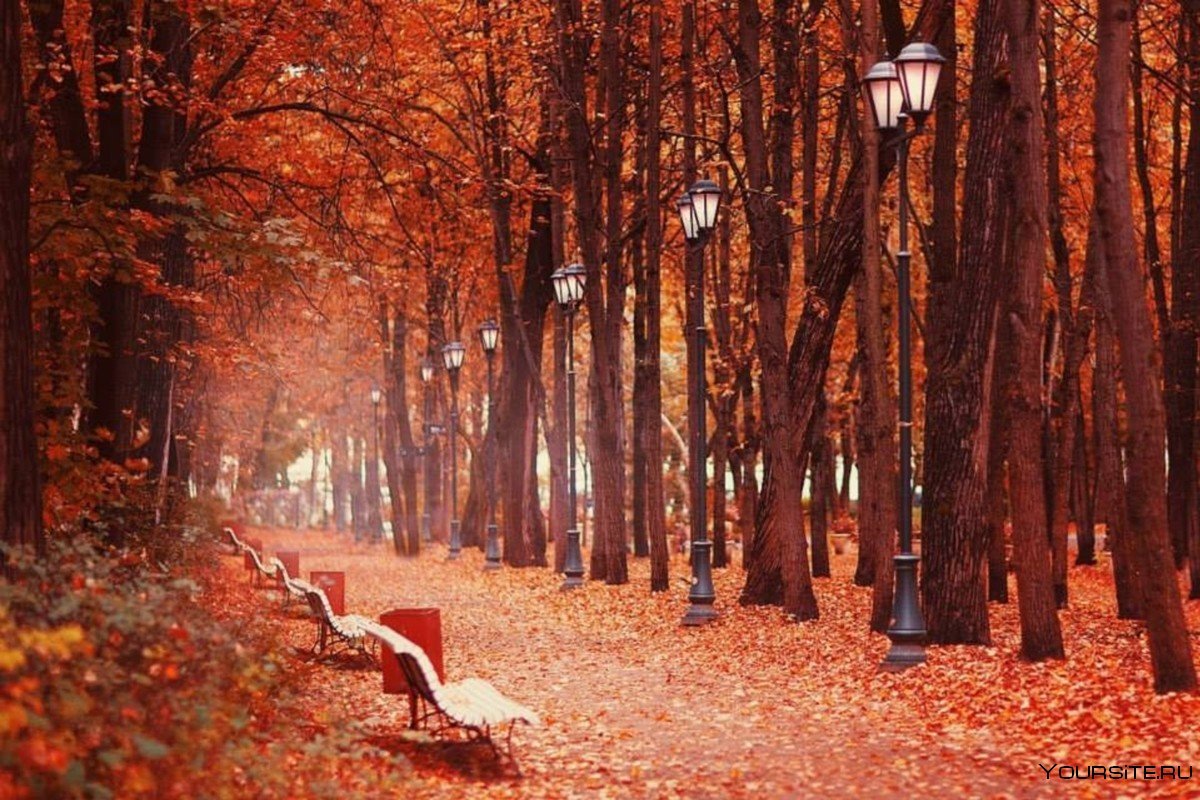 Нескучный сад в Москве осенью