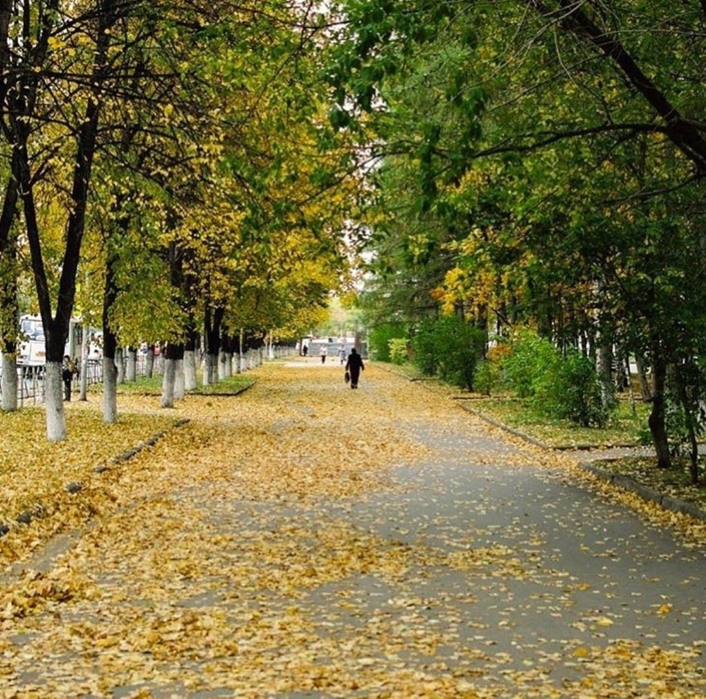 Осенний Кемерово