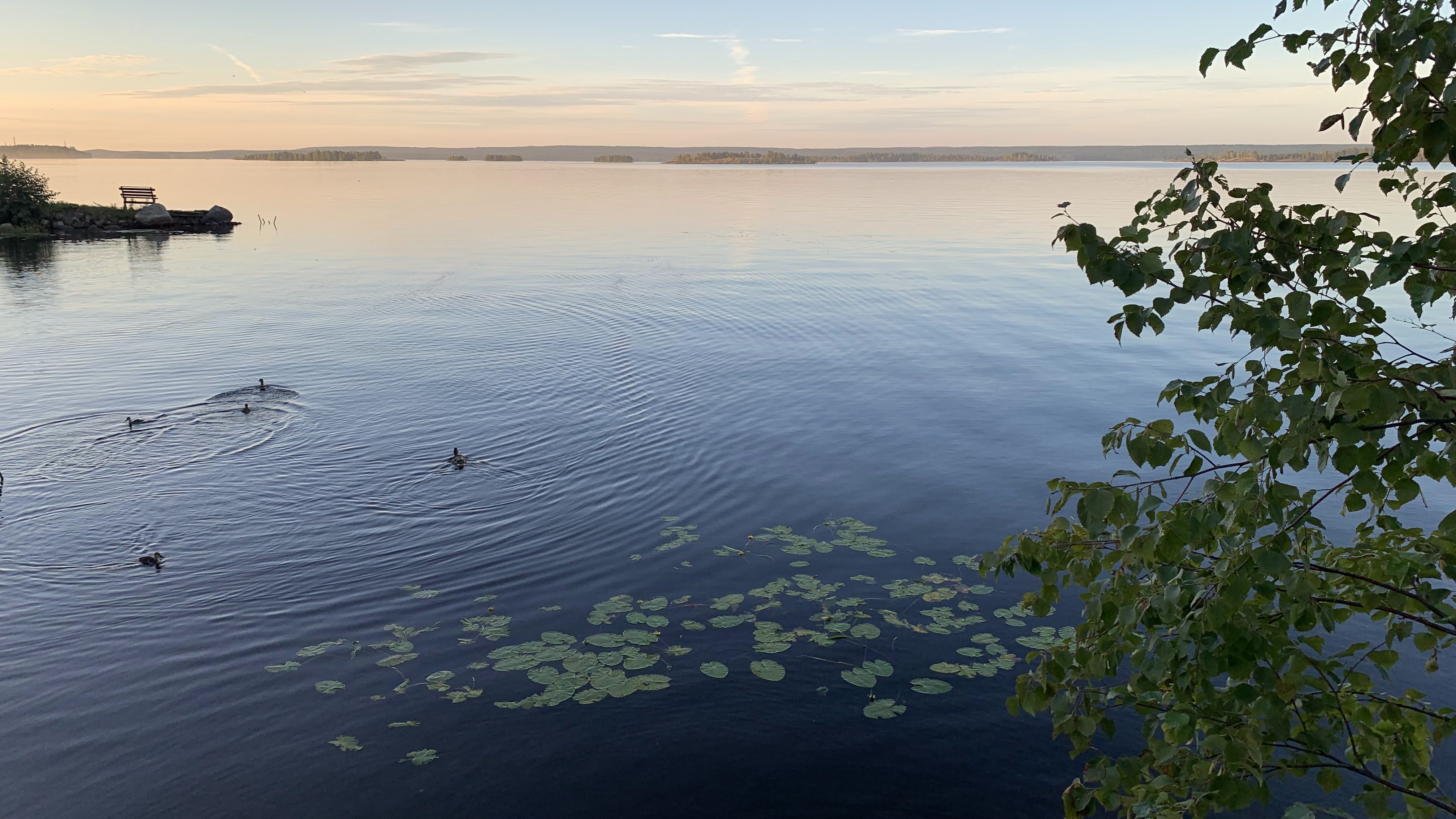 На озере сегодня будет. Новопятигорское озеро пляж. Малый Чебакуль озеро. Озеро Ильмень. Озеро Ильмень Чапаевск.